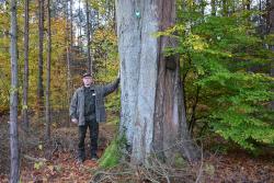 Podleśniczy&#x20;Piotr&#x20;Kowalewski&#x20;prezentuje&#x20;pomnikowego&#x20;buka&#x20;pospolitego&#x20;&#x28;Fagus&#x20;sylvatica&#x29;&#x20;w&#x20;leśnictwie&#x20;Otłów&#x2e;&#x20;Fot&#x2e;&#x20;Adrian&#x20;Wiśniowski