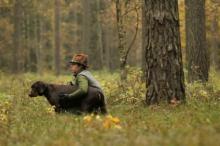 Regionalny Konkurs Pracy Psów Myśliwskich Tropowców