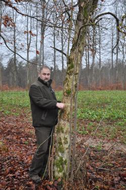 Bez&#x20;czarny&#x20;o&#x20;obwodzie&#x20;76&#x20;cm&#x20;&#x2c;&#x20;Leśniczy&#x20;Leśnictwa&#x20;Benowo