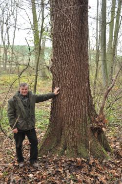 Olsza&#x20;czarna&#x20;o&#x20;obwodzie&#x20;275&#x20;cm&#x20;&#x2c;&#x20;Leśniczy&#x20;Leśnictwa&#x20;Polno