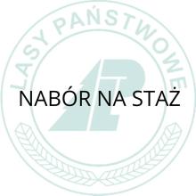 NABÓR NA STAŻ!