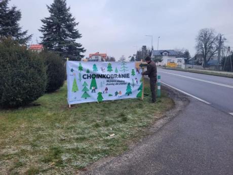 ZA NAMI PIERWSZA TAKA AKCJA CHOINKOBRANIE W LEŚNICTWIE DZIWNO!