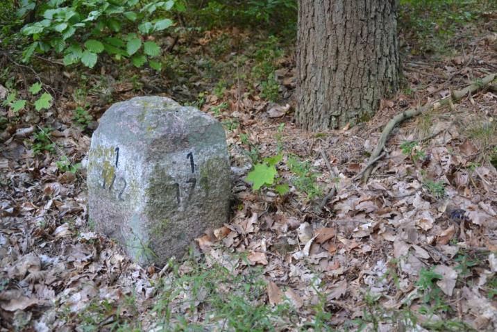 fot. Adrian Wiśniowski